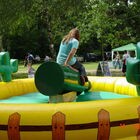 Bottle Rodeo für Brauereien