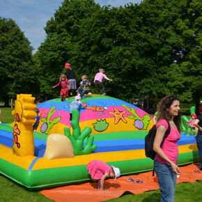 Soft Mountain Korallenriff