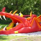 Riesenrutsche Drachendesign