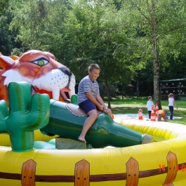 Bullriding Bottle Rodeo