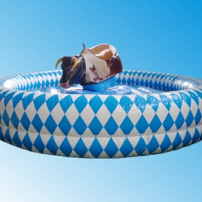 Bullriding Bayrisch